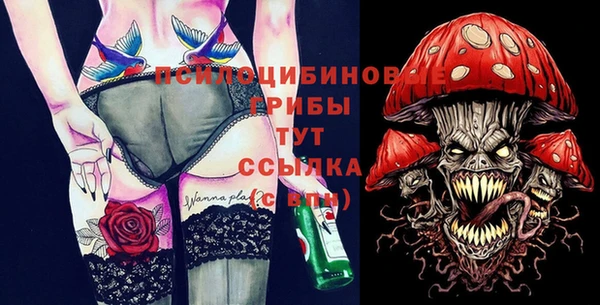 крисы Снежинск